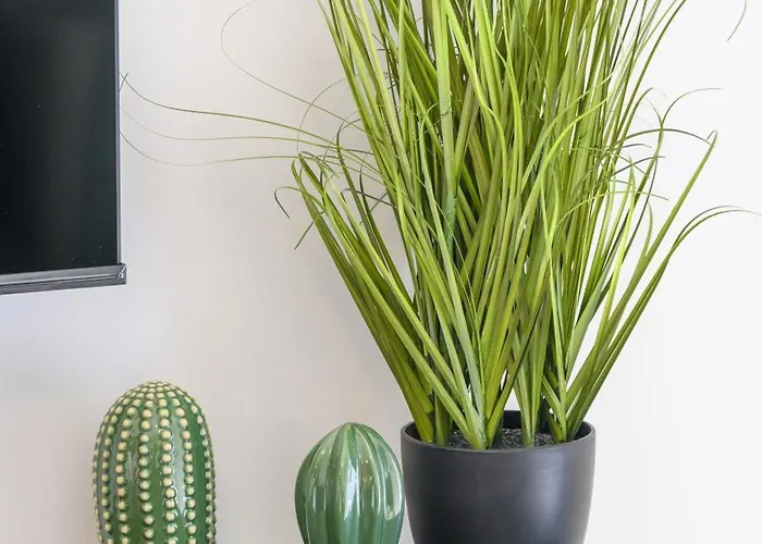 - Mountain View & Parking アオスタ