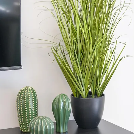 - Mountain View & Parking Aosta