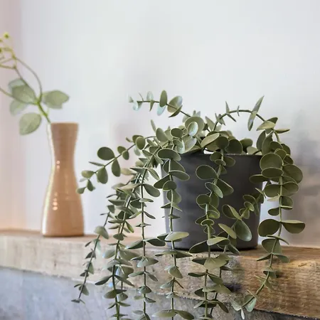 - Mountain View & Parking * Aosta